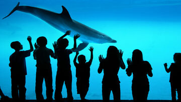 Texas State Aquarium Streamlines Health Tracking and Onboarding with Docubee image